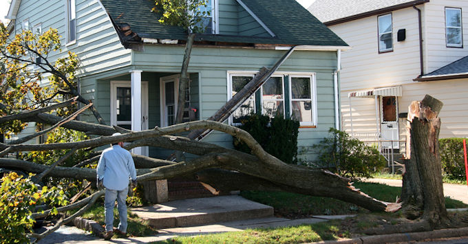 a wind storm